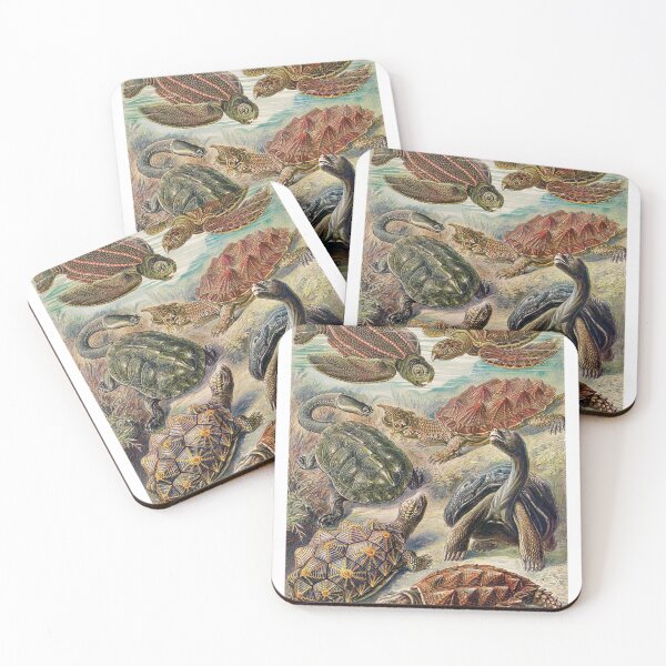 Item preview, Vintage Turtles Art Print designed and sold by Eva Vincent.