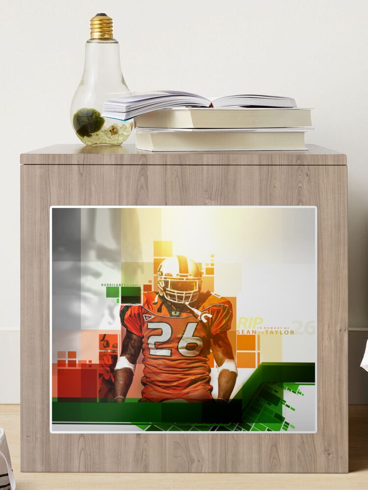 Sean Taylor Display Case