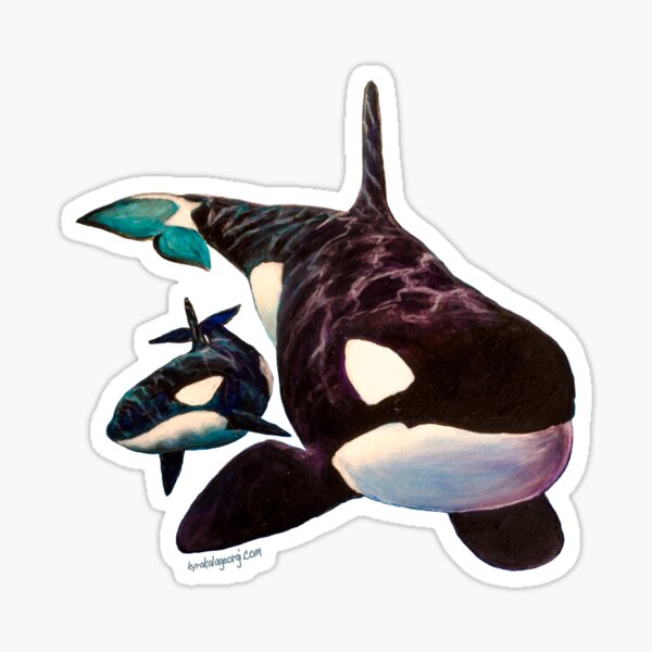 Orcas Only Sticker