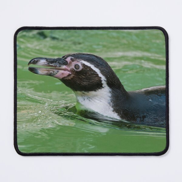 Artikelvorschau, Humboldt-Pinguin entworfen und verkauft von Vac1.