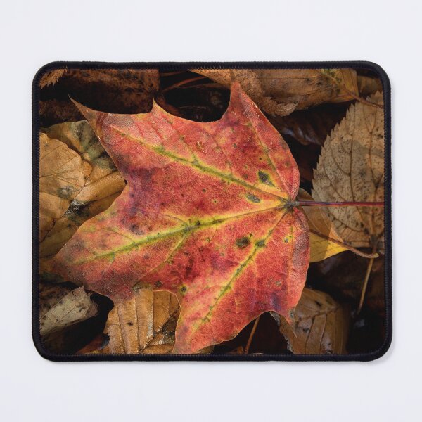Item preview, Hedgerow leaves designed and sold by Phil Buckle.
