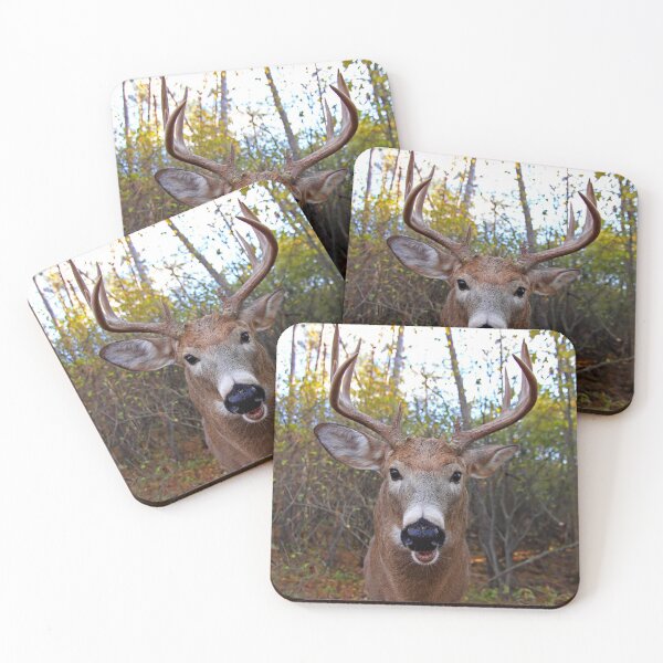 Item preview, Wide-Angled Buck - White-tailed deer designed and sold by James Cumming.