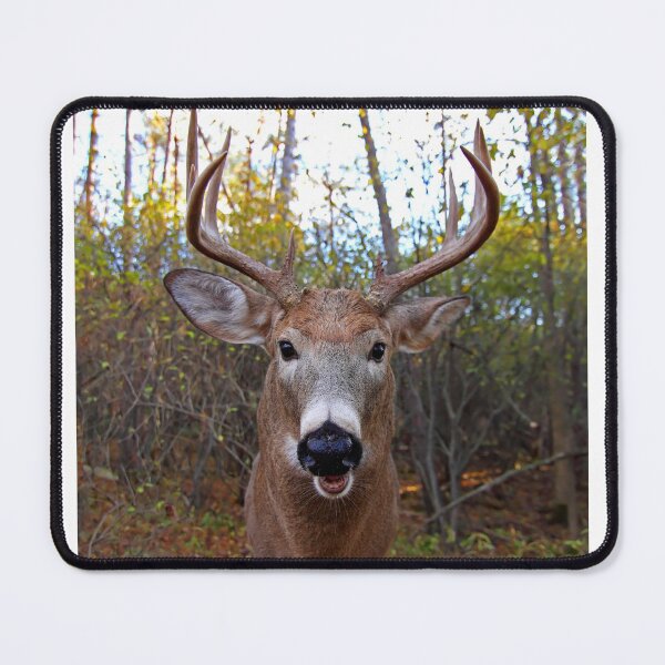 Item preview, Wide-Angled Buck - White-tailed deer designed and sold by James Cumming.