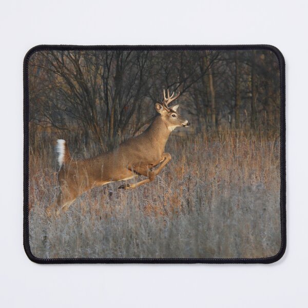 Item preview, Buck on the Run - White-tailed Deer designed and sold by James Cumming.