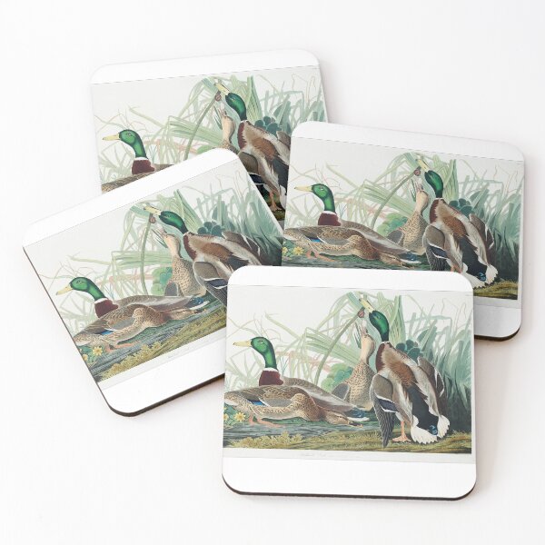 Item preview, Mallard Duck from Birds of America (1827) by John James Audubon designed and sold by aksanchen.