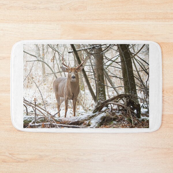 Item preview, Edge of the Woods - White-tailed buck designed and sold by James Cumming.