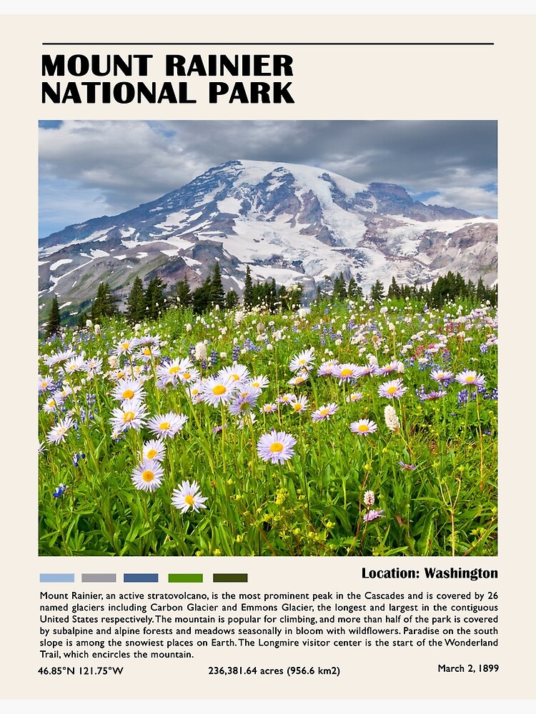 Disover Mount Rainier national park Premium Matte Vertical Poster
