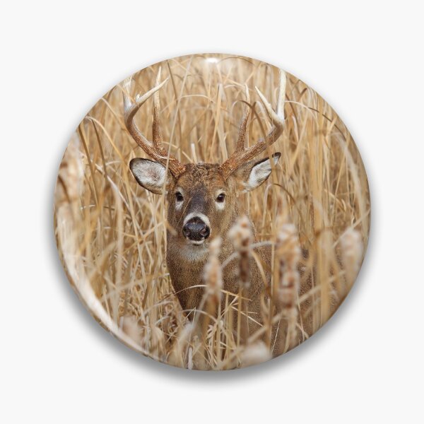 Item preview, Marsh King - White-tailed deer Buck designed and sold by James Cumming.