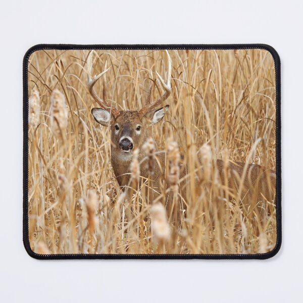 Item preview, Marsh King - White-tailed deer Buck designed and sold by James Cumming.