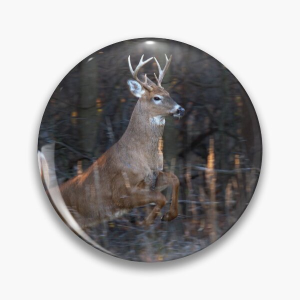 Item preview, Buck Jump - White-tailed deer designed and sold by James Cumming.