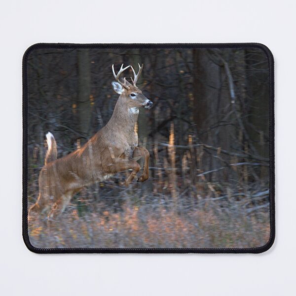 Item preview, Buck Jump - White-tailed deer designed and sold by James Cumming.