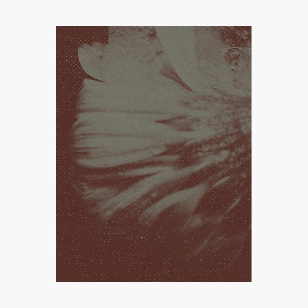 Frozen In Time Photographic Print