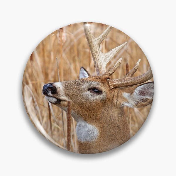 Item preview, Love is in the air - White-tailed deer designed and sold by James Cumming.