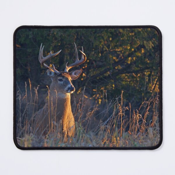 Item preview, Morning Breath - White-tailed deer designed and sold by James Cumming.