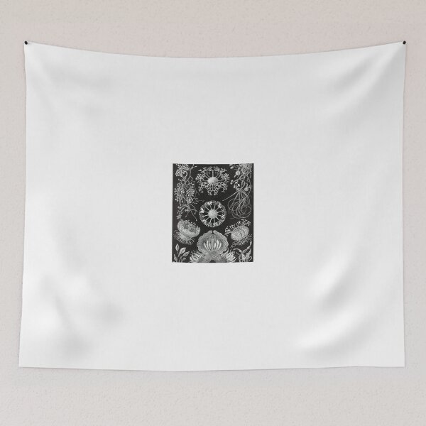 Item preview, Aesthetic Botanical Art Print designed and sold by Eva Vincent.