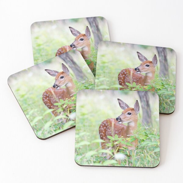 Item preview, Once upon a Fawn - White-tailed Fawn designed and sold by James Cumming.