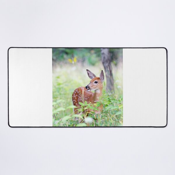Item preview, Once upon a Fawn - White-tailed Fawn designed and sold by James Cumming.