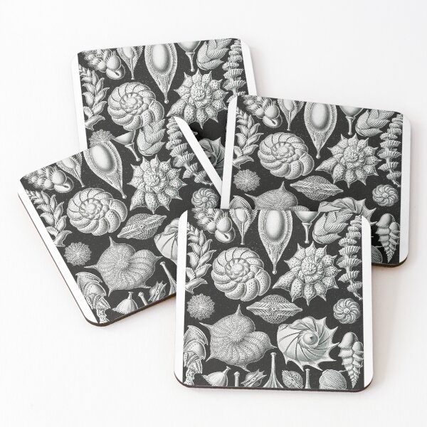 Item preview, Aesthetic Seashells Art Print designed and sold by Eva Vincent.