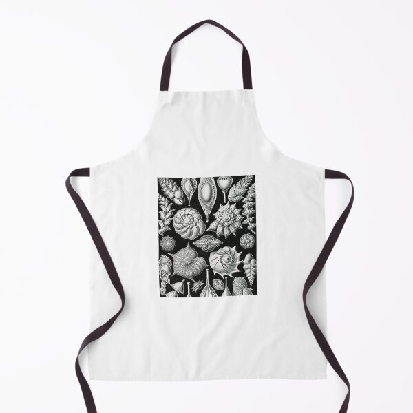 Item preview, Aesthetic Seashells Art Print designed and sold by Eva Vincent.
