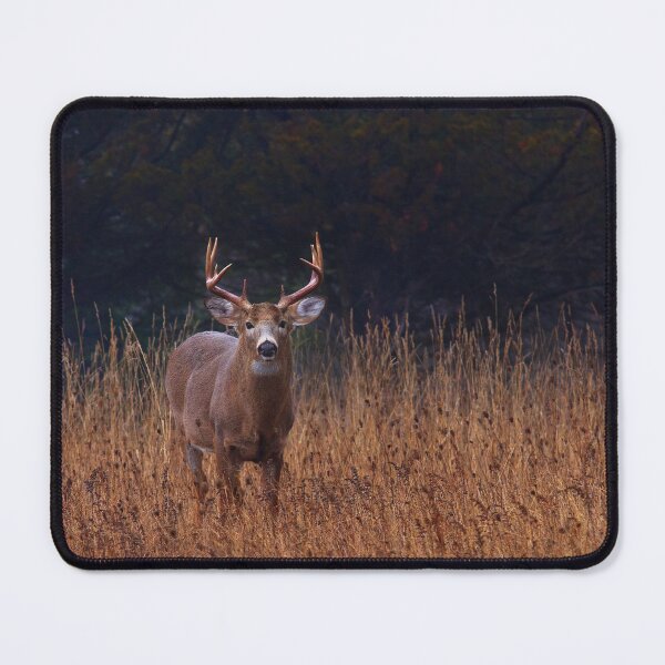 Item preview, In Autumns Fields - White-tailed deer designed and sold by James Cumming.