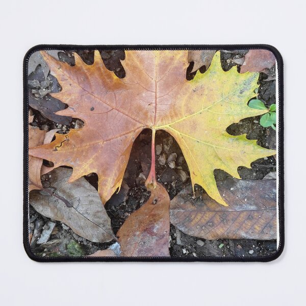 Item preview, Nature autumn colors designed and sold by AnaRakanovic.