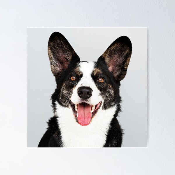 Item preview, Hey Buddy - Dog waiting designed and sold by DegoPine  Art Studio.