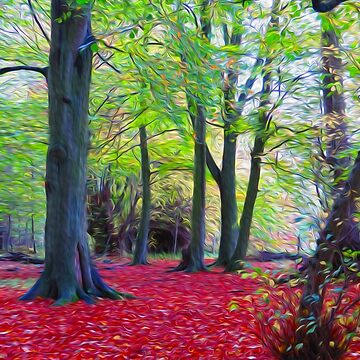 Artwork thumbnail, Autumn Woodland, Scotland - Oil by hereandback