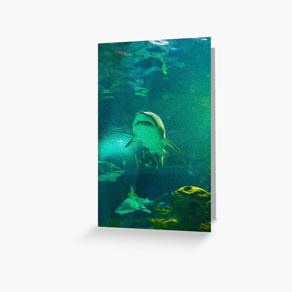 Shark - Oil Greeting Card