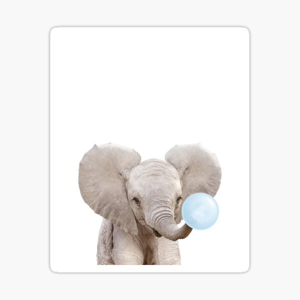 White (and blue) elephant gifts : r/Brochet