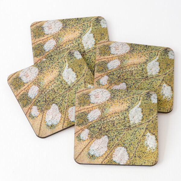 Item preview, Butterfly Wing Close-up designed and sold by Tony North.