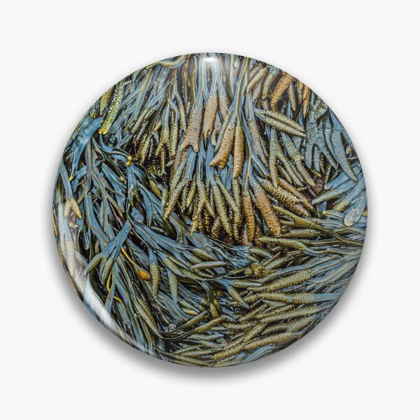 Item preview, Colourful Seaweed Pattern designed and sold by Tony North.