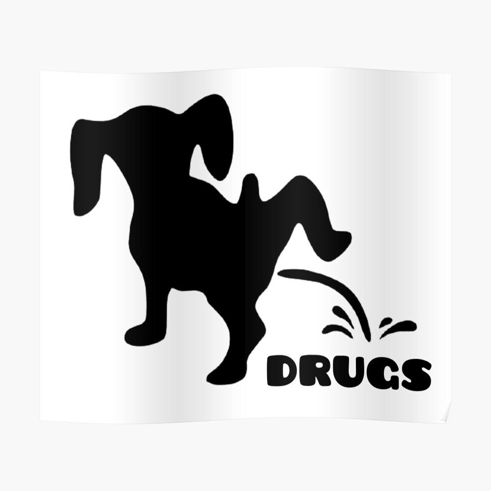 Dog pissing on drugs/