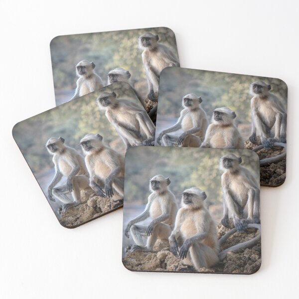 Item preview, Three Gray Langur monkeys sitting designed and sold by Tony North.
