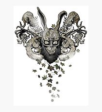 Darko-Sumi (Autumn flavour) Photographic Print