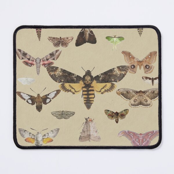 Item preview, big moth poster designed and sold by Addie-w-W.