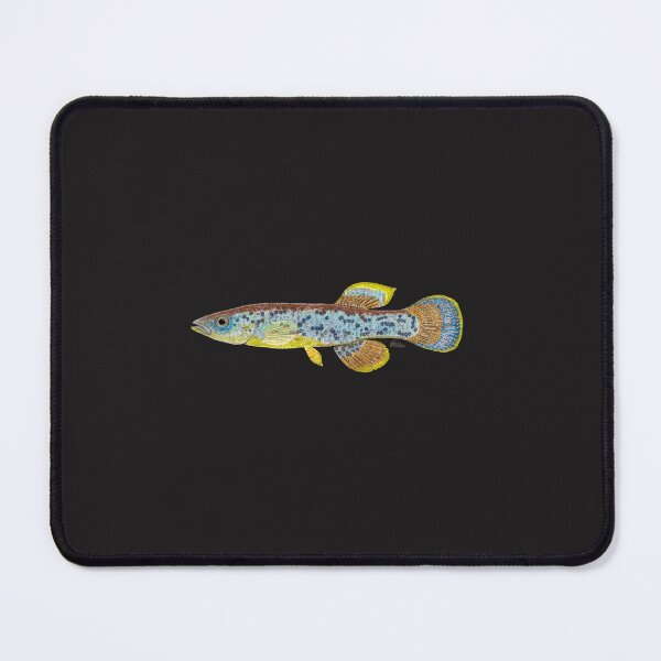 Item preview, Barrens Topminnow (Fundulus julisia) designed and sold by LeakyCanoeArt.