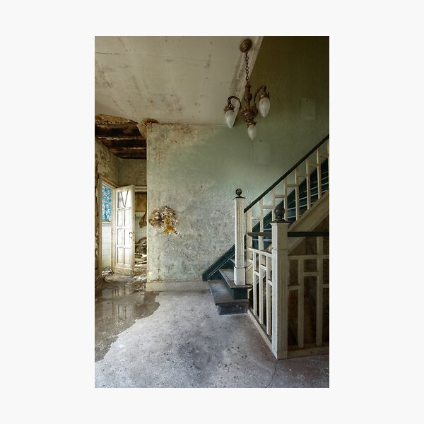 Interference Photographic Print