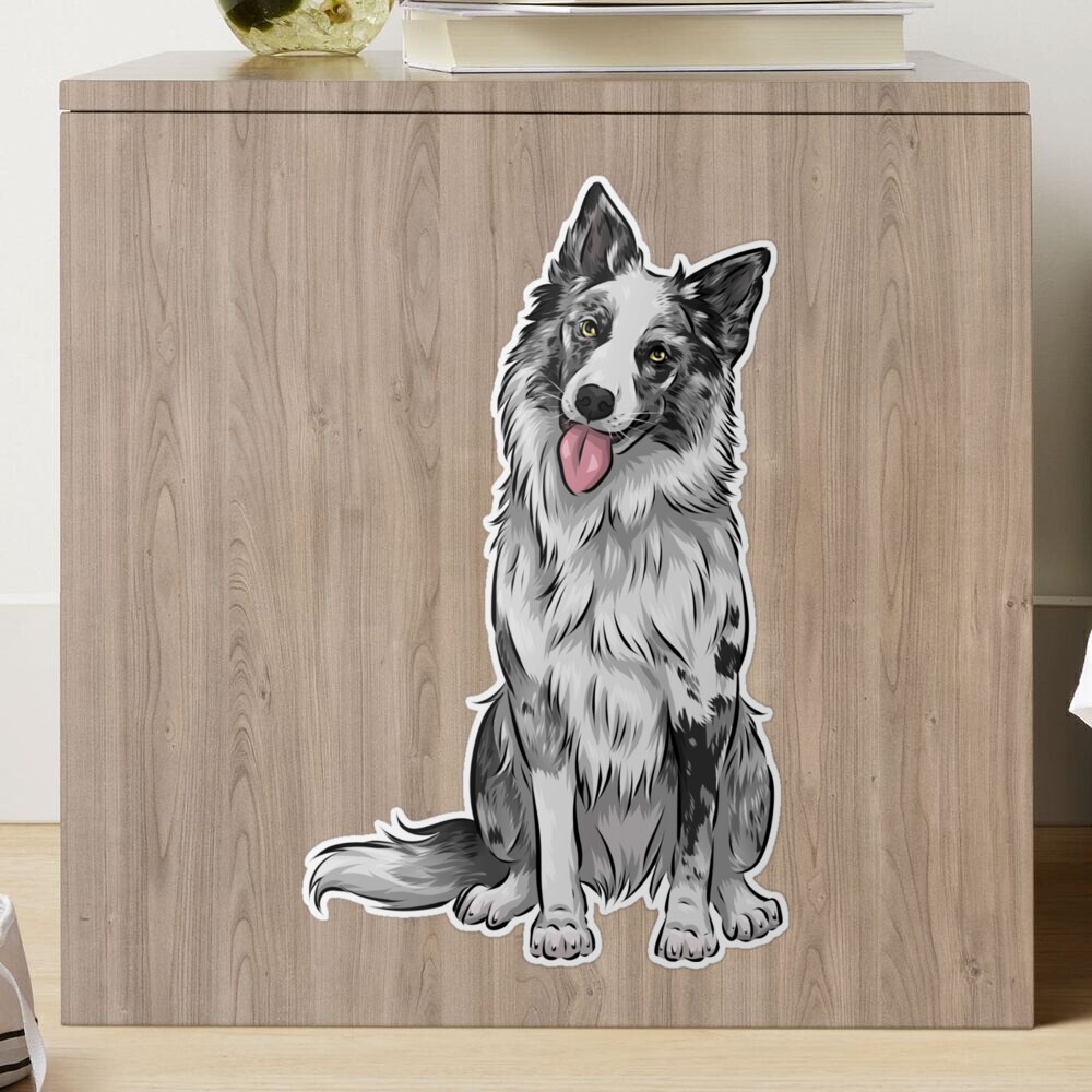 Agility Shelties Blue Merle and Sable Sheltie waterproof stickers - Amy  Bolin's Far Out! Art