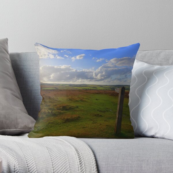 Exmoor: Path Across the Moor Throw Pillow