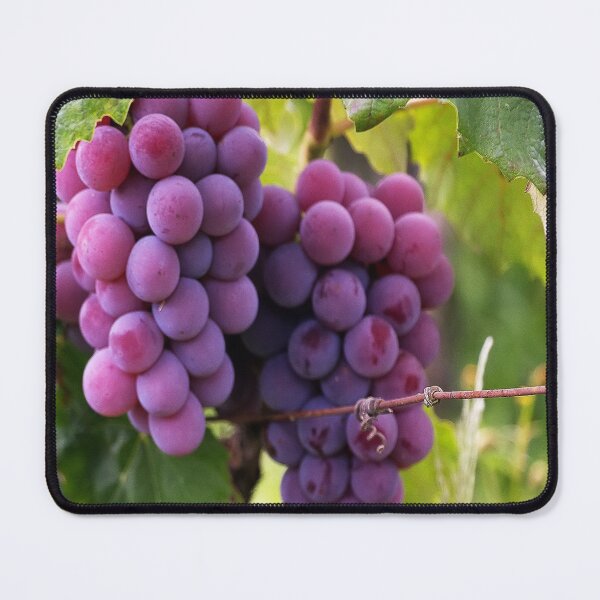Item preview, GRAPE designed and sold by Rdesigner1.