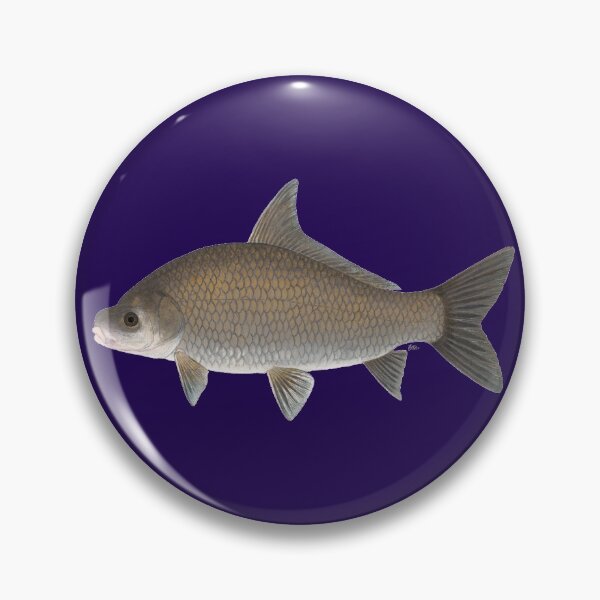 Item preview, Smallmouth Buffalo (Ictiobus babalus) designed and sold by LeakyCanoeArt.
