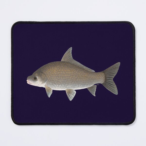 Item preview, Smallmouth Buffalo (Ictiobus babalus) designed and sold by LeakyCanoeArt.