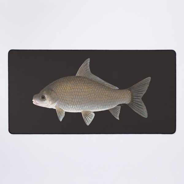 Item preview, Smallmouth Buffalo (Ictiobus babalus) designed and sold by LeakyCanoeArt.
