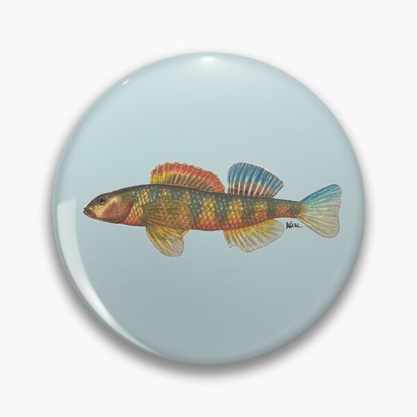 Item preview, Gilt Darter (Percina evides) designed and sold by LeakyCanoeArt.