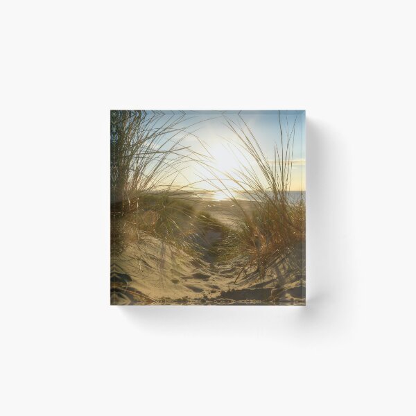 Item preview, Beach grass in the dunes designed and sold by Claudia-Evans.