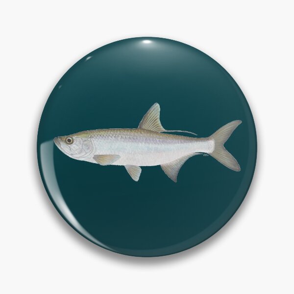 Item preview, Atlantic Tarpon (Megalops atlanticus) designed and sold by LeakyCanoeArt.