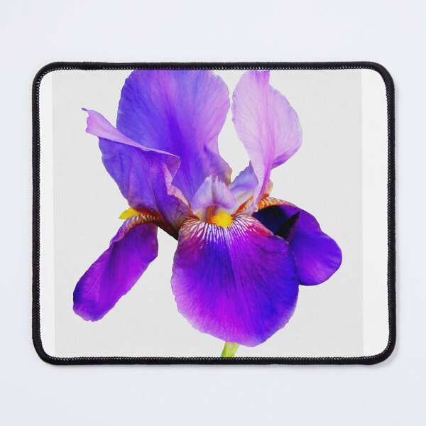 Item preview, Irresistible Iris designed and sold by vette.