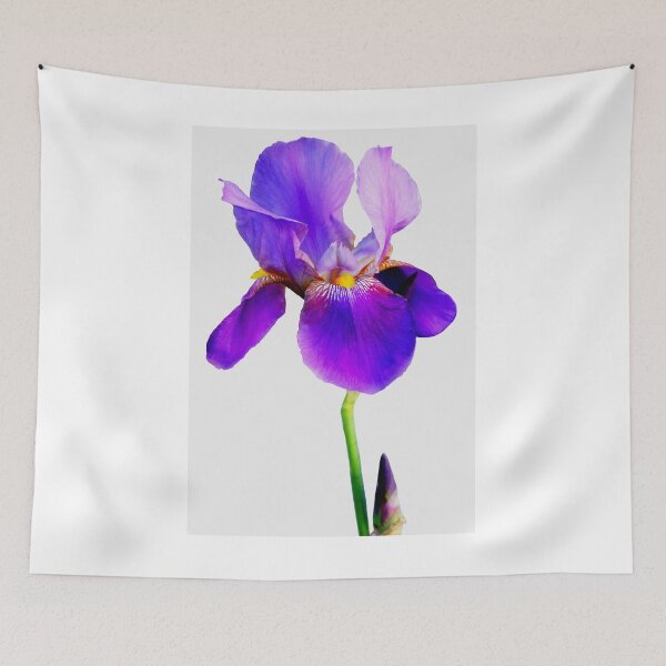 Item preview, Irresistible Iris designed and sold by vette.
