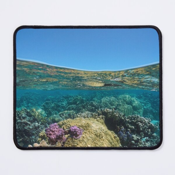 Item preview, Coral reef underwater sea and blue sky seascape over under water designed and sold by Seaphotoart.