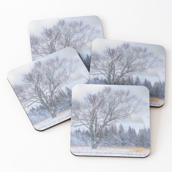 Item preview, Ancient Birch Tree designed and sold by onepony.